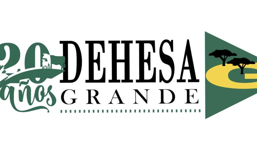 Logo grande de 20 años Dehesa Grande