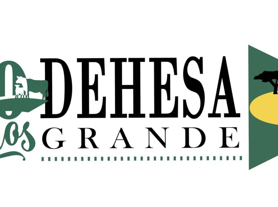 Logo grande de 20 años Dehesa Grande