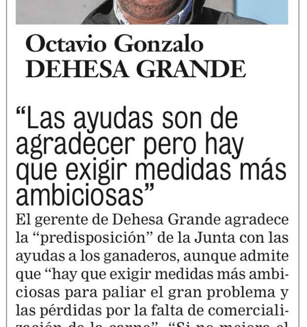 Noticias Dehesa Grande