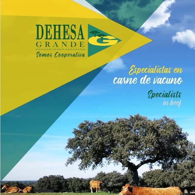 Noticias Dehesa Grande