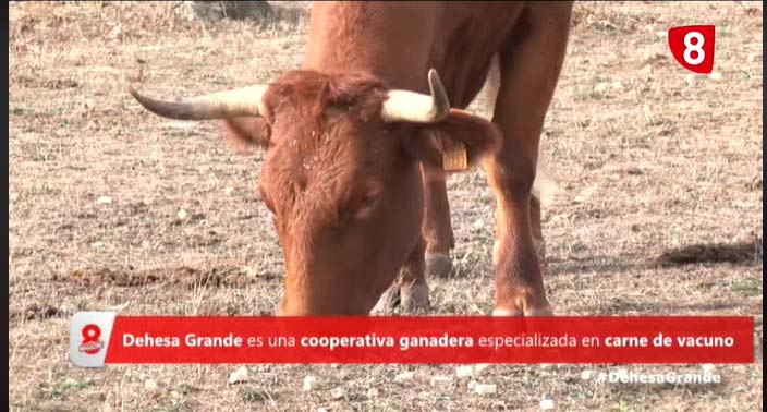 Noticias Dehesa Grande