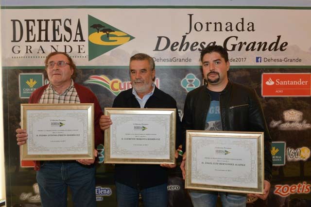 Noticias Dehesa Grande