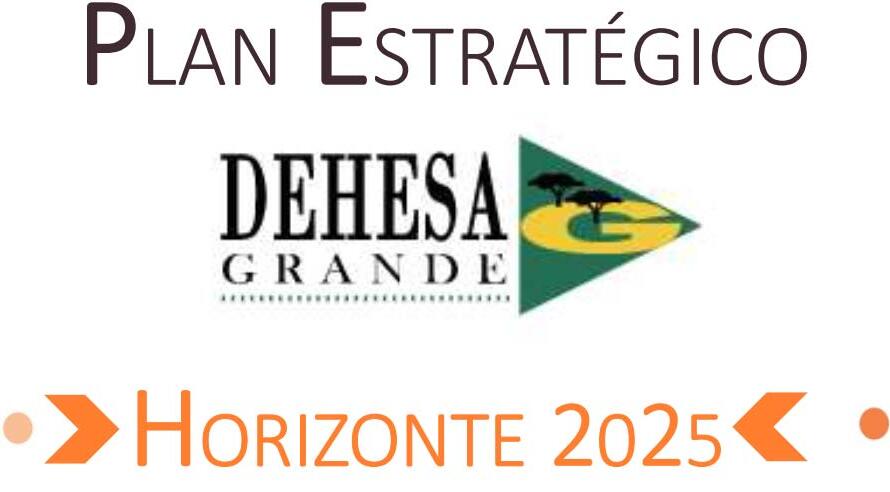Logo plan estratégico de Dehesa Grande