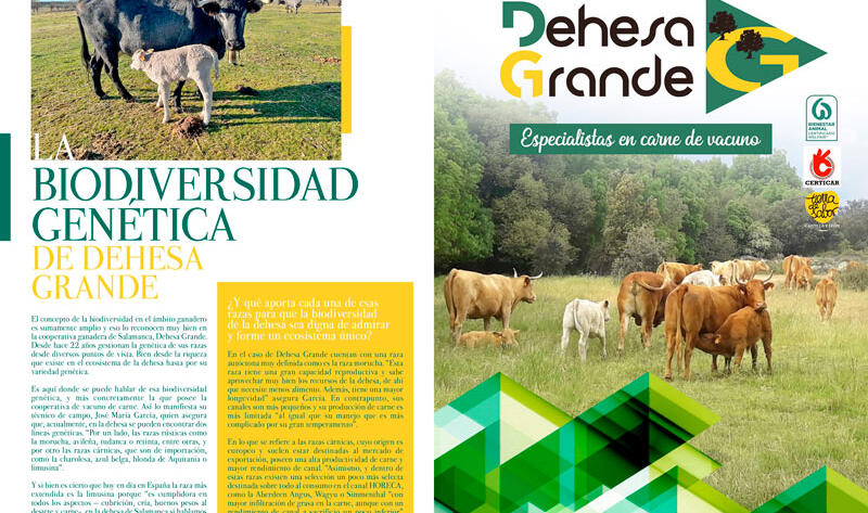 Noticias Dehesa Grande