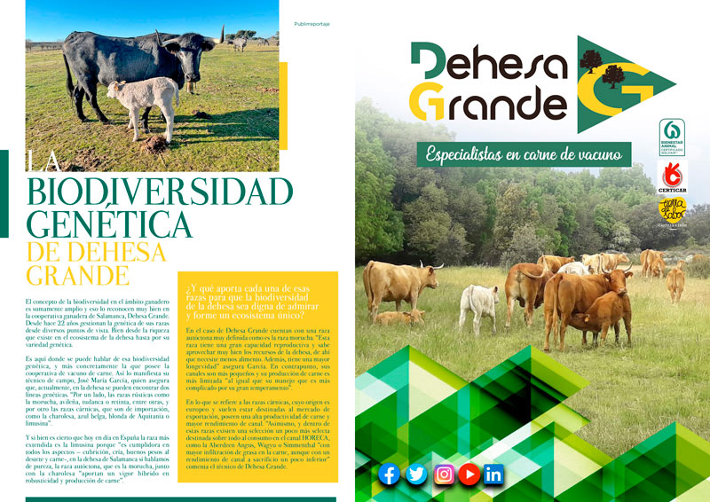 Noticias Dehesa Grande