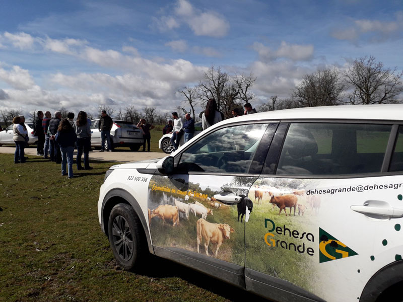 Coche corporativo de Dehesa Grande