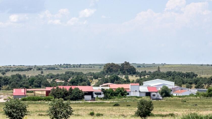 Foto de los exteriores dehesa grande