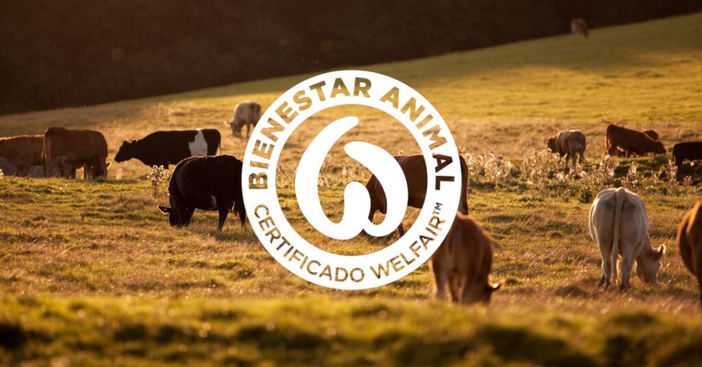 ¿Qué es el certificado de bienestar animal?
