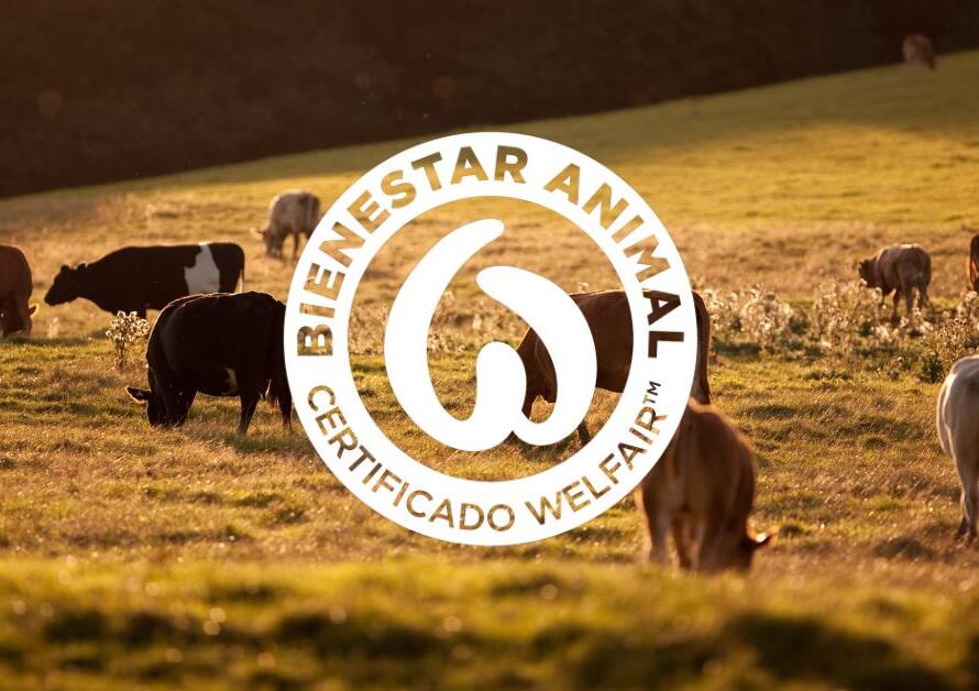 ¿Qué es el certificado de bienestar animal?