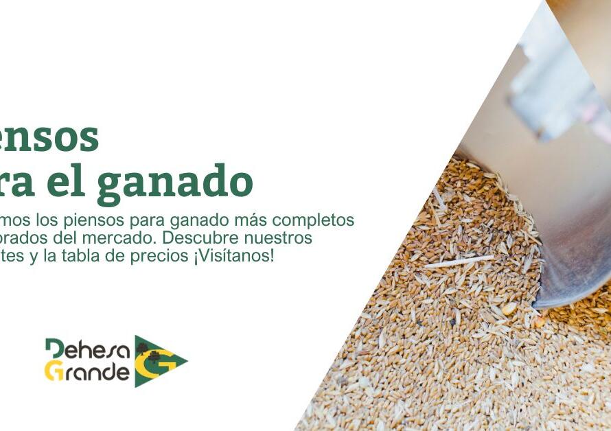 imagen destacada para la página de piensos de dehesa grande donde aparece una pequeña descripción y una foto de los piensos.