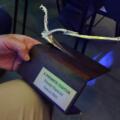 Dehesa Grande, reconocida con el Premio Especial en la X edición de los Premios Surcos coincidiendo con su 25 aniversario