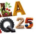 Salamaq 2025, nueva cita para nuestra cooperativa