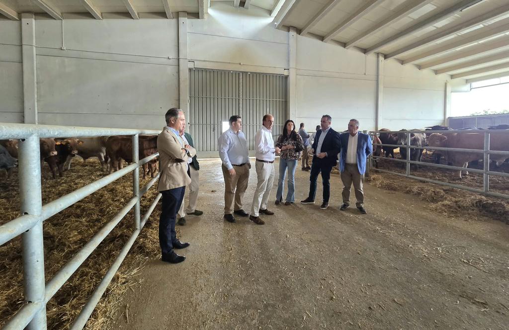 Dehesa Grande aborda con la Junta de Castilla y León los principales retos del sector del vacuno de carne 1 dehesa grande visita consejero agricultura 2026 2