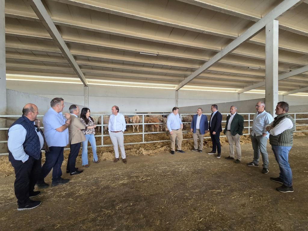 Dehesa Grande aborda con la Junta de Castilla y León los principales retos del sector del vacuno de carne 2 dehesa grande visita consejero agricultura 2026 4