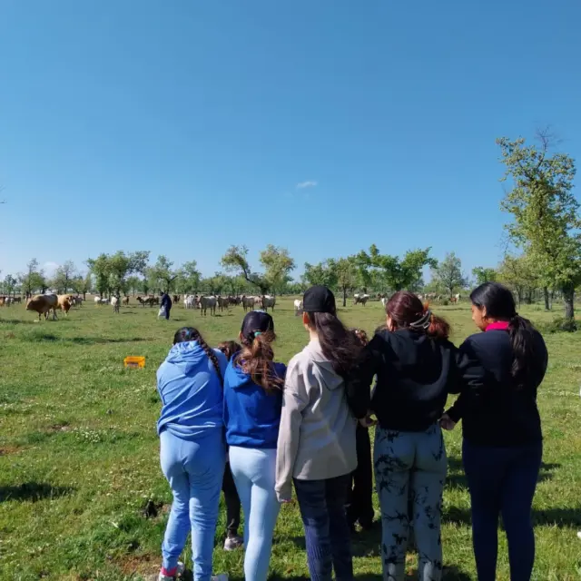 💚 Hoy ha sido un día muy especial en @dehesa_grande 😉

👉🏻 Una vez más, hemos recibido con muchísima ilusión la visita de los alumnos del CEIP La Antigua de Béjar gracias al programa "Agricultores y Ganaderos del Futuro" de la Junta de Castilla y León.

Llevamos ya varias ediciones participando en esta bonita iniciativa, y cada año nos reafirma lo importante que es abrir las puertas del mundo rural a los más pequeños.

😃 Han descubierto cómo trabajamos en el campo, por qué la agricultura y la ganadería son esenciales para todos, cómo se cuida la alimentación desde el origen y qué papel juega la tecnología en el proceso.

🥩🌾 Sembramos curiosidad, respeto y conocimiento. Porque el futuro también se cultiva con valores.

Gracias por vuestra visita, CEIP La Antigua. ¡Nos encanta seguir aprendiendo juntos! 👨‍🌾👩‍🌾

#DehesaGrande #VacunodeCarne #SectorPrimario #Ganadería #Campo #Vacuno #Extensivo