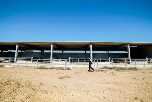 💚 Desde la cría hasta la comercialización, en nuestra cooperativa cuidamos cada etapa:

🐂 Cebaderos con condiciones de bienestar animal excepcionales.
🏭 Una industria cárnica moderna y equipada.
🛒 Comercialización nacional e internacional, garantizando mercados para nuestros socios.

El resultado: carne de vacuno con garantía total de calidad, trazabilidad y origen.

#DehesaGrande #CarnedeVacuno #VacunodeCarne #Cooperativa #Extensivo #Ganadería #SectorGanadero #industriaagroalimentaria