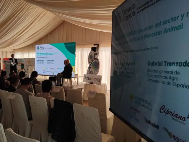 💚 Recordando nuestro #25dehesagrande

🗣 Gabriel Trenzado, director general de Cooperativas Agro-alimentarias de España: “Tras la pandemia, el marco normativo ha acelerado el declive del sector. Necesitamos mayor coordinación entre instituciones y estabilidad normativa real.” "Solo desde la colaboración entre Europa, el Estado y las autonomías podremos mantener viva la competitividad de nuestro modelo agroalimentario".

#25DehesaGrande #aniversario #DehesaGrande #CarnedeVacuno #VacunodeCarne #Cooperativa #Extensivo #Ganadería #SectorGanadero #industriaagroalimentaria